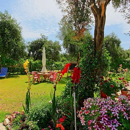 Dalia דירה